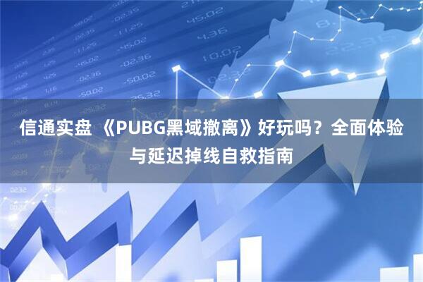 信通实盘 《PUBG黑域撤离》好玩吗？全面体验与延迟掉线自救指南