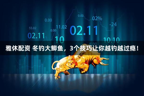 雅休配资 冬钓大鲫鱼，3个技巧让你越钓越过瘾！